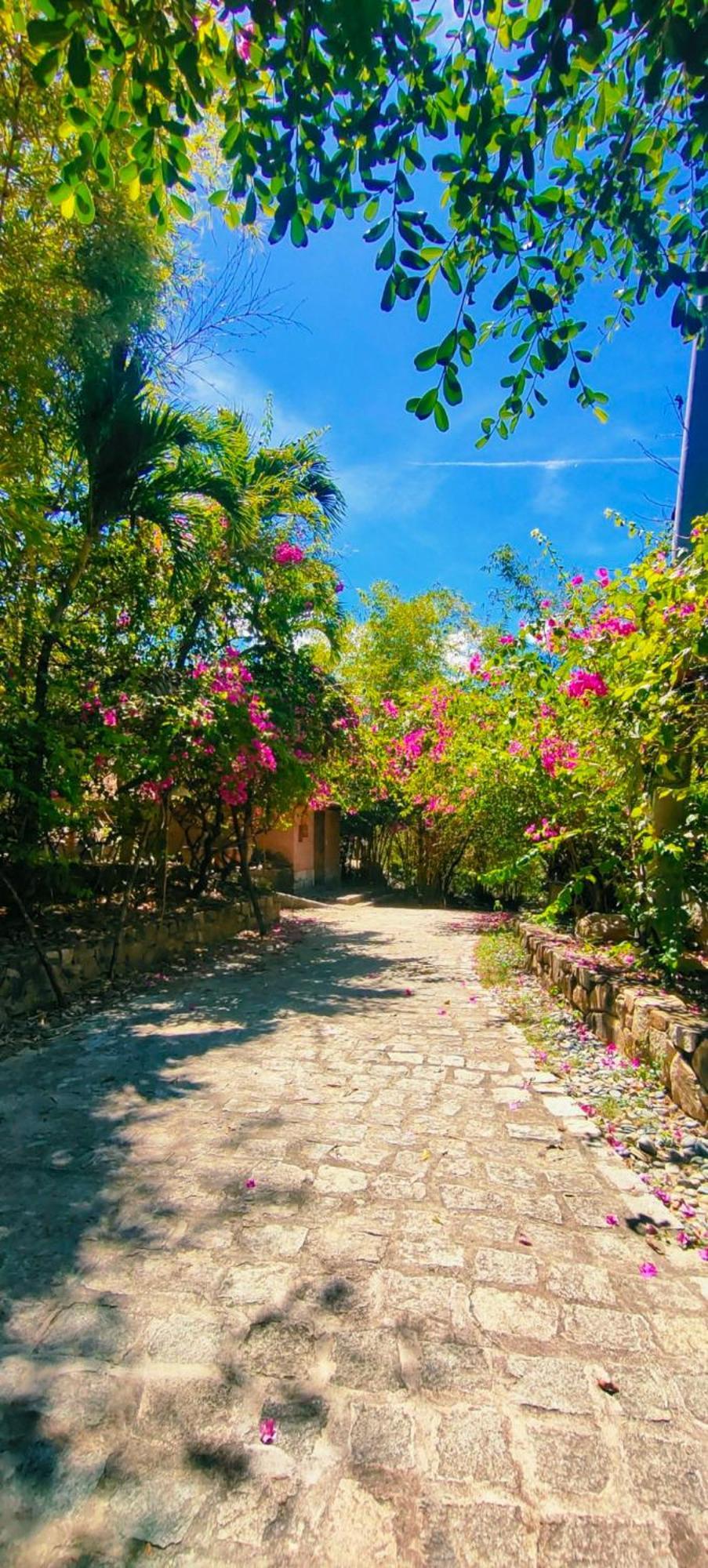 Wild Beach Boutique Resort Ninh Phuoc Exterior photo